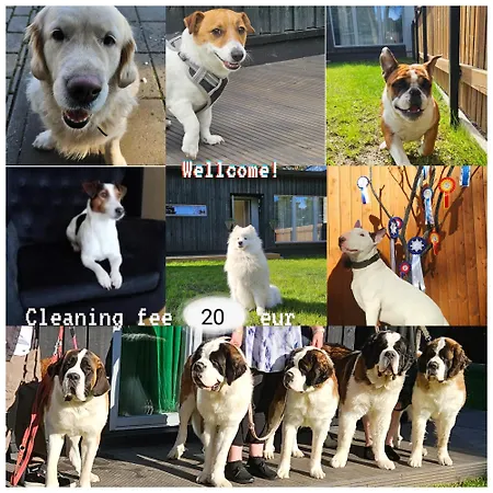 Διαμέρισμα Saaund *