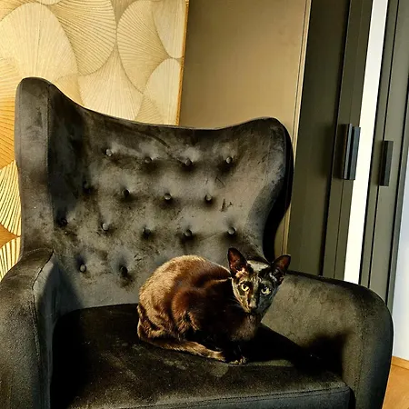 Saaund Apartament